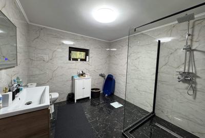 Vila P+M,GARAJ, T=741 mp,D=28m,an 2019,zona centrala-Palat de Justitie - 18