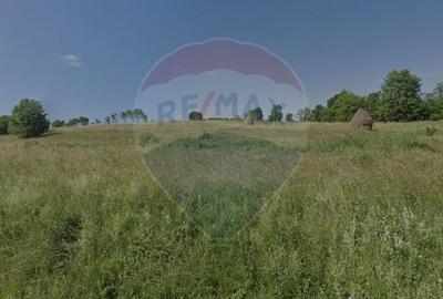 Teren 3,110mp Manastireni, situat în zona DJ 103L - 3