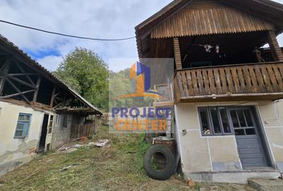 Casa si teren 5.000 mp, Stroesti - 8