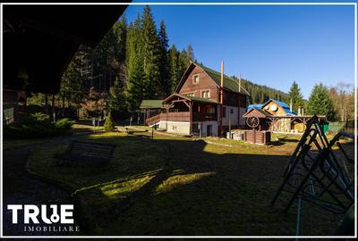 Cabană 210 m² + teren 1400 m² | Sălard, Mureș - 19