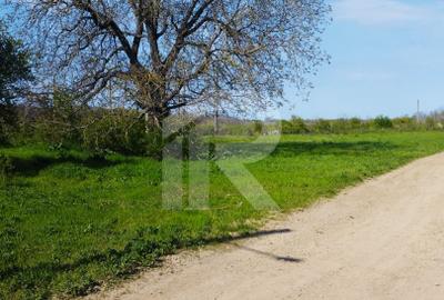 Teren intravilan de vânzare – Grădiștea, Ilfov, Aleea Primăriei - 17