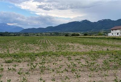 Teren de vanzare la intrarea in Zarnesti (Zona Penny ). Excelent pentru dezvolta - 2