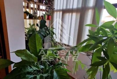 Apartament cu 3 camere de vanzare, 2 bai, zona Dambovita, Timisoara - 8