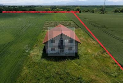 Teren intravilan 50000 mp, cu PUZ, Aprobat - zona Halchiu/Codlea - 6