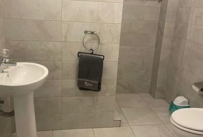 Apartament 2 camere Doamna Stanca - 3