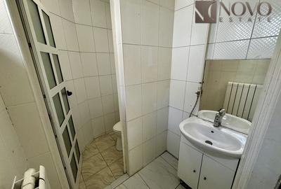 8 Camere | Baneasa | 335 mp utili | Teren 300 mp | - 6