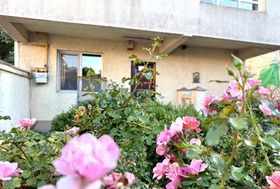 Casă individuală cu 8 camere în Brâncoveanu