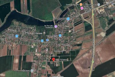 Teren 1500 mp Caciulati Moara Vlasiei, cu utilități - 6