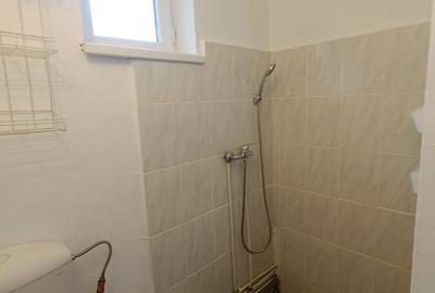 Casa de inchiriat cu 2 camere, mobilata si utilata, curte, Alba Iulia - 10