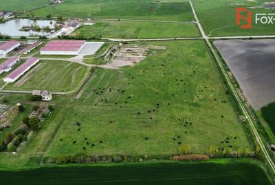 Teren intravilan cu suprafata de 58.340 mp, in Sanmartinul Sarbesc - 14
