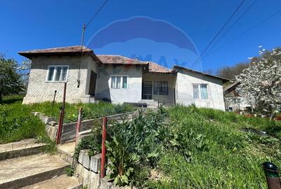 Casa bunicilor, cu gradina, Lera, Buzau! - 18