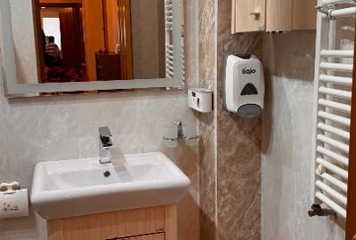 Apartament cu 3 camere decomandat, mobilat în Roșu