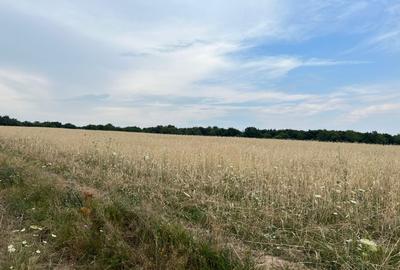 Teren extravilan de vanzare, 4200 mp, zona Salicea - 1