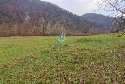 Teren Straja – Pangarati 3560 m, zona de Pensiune - 9