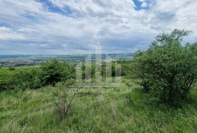Teren extravilan | De vanzare | 1400 mp | 13 ml deschidere | Paclisa - 3