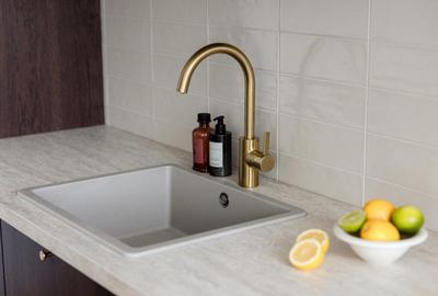 ISHO Riverside U2, spre raul  Bega, aproape de Universitatea de Medicina - 10