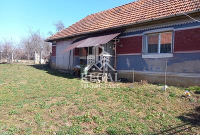 Două case de vânzare – Cerisor – teren generos 6996 mp - 8
