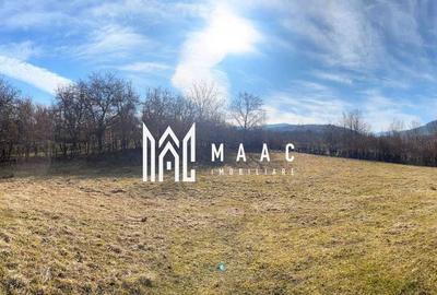 Teren intravilan I 2300mp I Zona Rasinari - 1