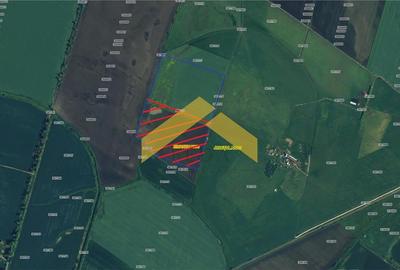 Teren 6,8ha extravilan de vanzare Zimandu Nou - 1