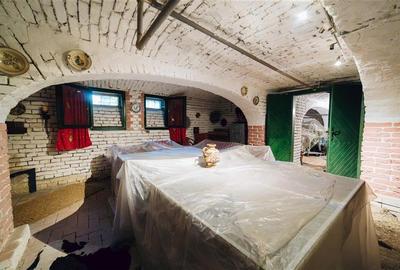 Vila in stil Art Nouveau (Targu Mures, str. Alexandru Papiu Ilarian) - 36