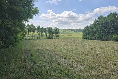 Vând teren intravilan 4.725 mp – comuna Roma, jud. Botoșani - 1