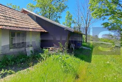 CASA TARANEASCA | TEREN 3000 MP | DESCHIDERE 52 M | COMUNA CIOLANESTI - 5