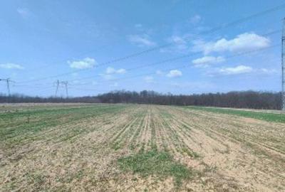 Casă + 2.760 mp teren aproape de Târgu-Jiu – liniște, spațiu și potențial! - 5