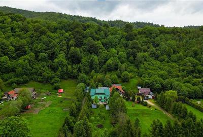 Complex turistic,afacere la cheie,3 vile, teren 7.700 mp,panouri fotovoltaice,Pl - 23
