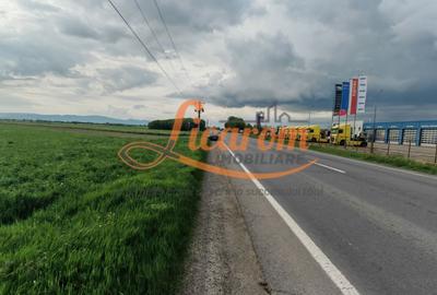Teren Stupini Calea Feldioarei 11800 mp,25 euro/mp, front asfalt-DN13 - 3
