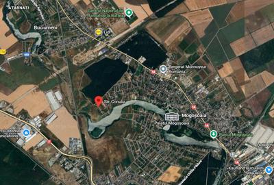 Teren de vanzare in Mogosoaia – Strada Crinului, langa lac | Lot ideal pentru ca - 1