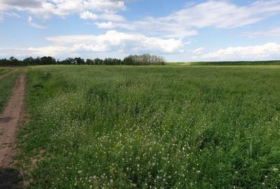 Teren intravilan Deschidere 34 m - 1