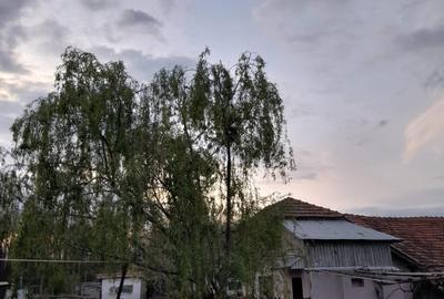 OPORTUNITATE! FERMA FUNCTIONALA, CASA RENOVATA SI TEREN 5HA - 1