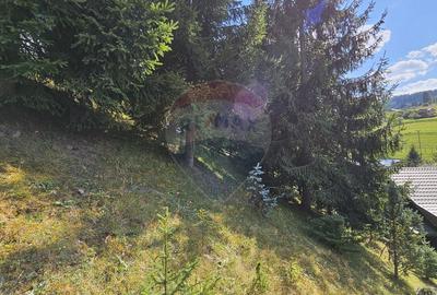 Casă / Vilă de vacanta in Dorna Arini, Suceava - 45