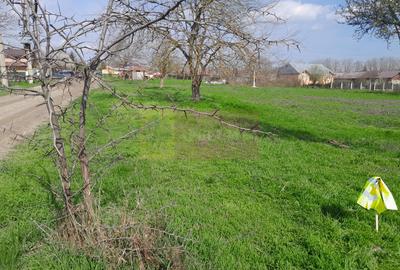 DE VANZARE TEREN 3400 MP IN SAT PODU ILFOVAT / COM BUTURUGENI (GR) - 33