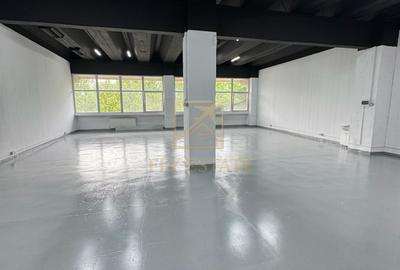 Spatiu Industrial | Pallady - 3