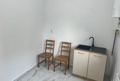 Vila Premium Ultra-Central Curte 500 mp.Bd Regina Maria - 8
