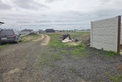 LOT 500 mp Clinceni - 3
