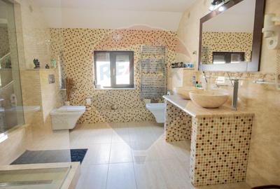 Casă / Vilă cu 5 camere de vânzare - 18