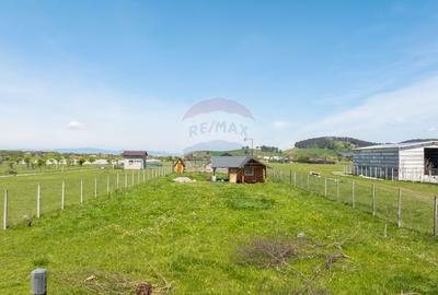Teren 1300 mp | Sanpetru | zona Livada - 7