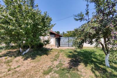Casa cu 2 camere si anexe in Simand cu teren de 1465 mp - 12