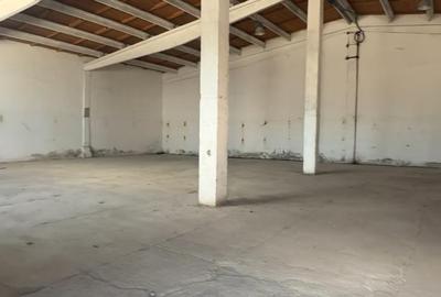 Hala industriala - Ovidiu - Acces A2 - 380.000 euro  (Cod E8+E10) - 10