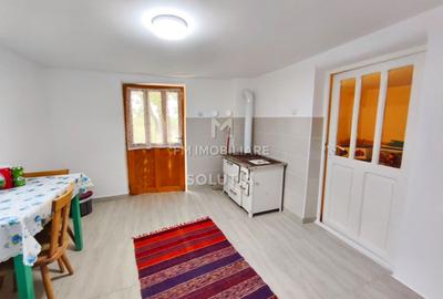 Casă P+1 de vânzare | Cicârlău | 11 ari teren - 12