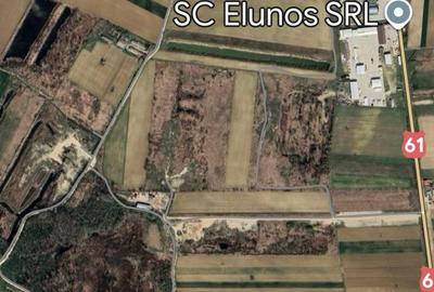 DJ200  Stefanesti de Jos / Dascalu    - Targoviste Gaesti  Vanzare  Teren - 16