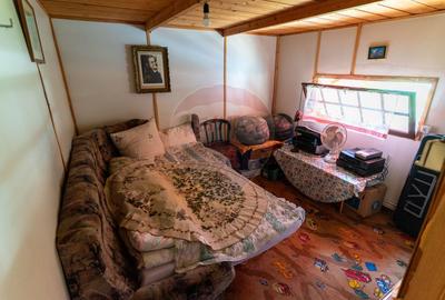 Casă  cu 10 camere in 2 corpuri de cladire (se pot vinde separat) - 25