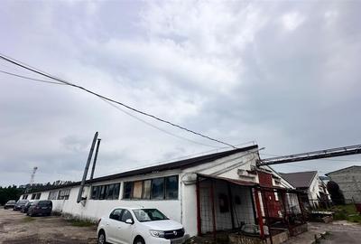 Hale industriale Teliu - 145000e  200.000e  450000e - 2