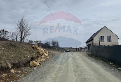 Teren intravilan 2307 mp în Salicea, zona premium, aproape de Cluj - 5