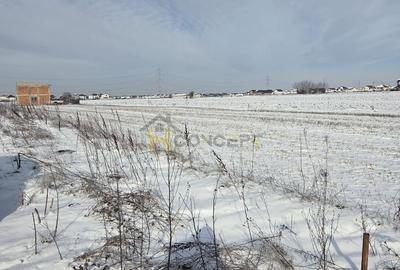 Teren Construcții intravilan de 342 mp, în Berceni