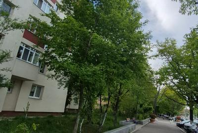 Inchiriere apartament 2 camere, decomandat, Aparatorii  Patriei - 21