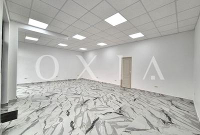 AX1198 Blascovici, Strada Maslinului, Spatiu Comercial, Comision 0% - 4