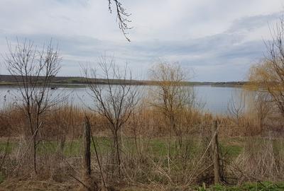 Sarulesti | Teren la lac | Utilitati | Proprietar - 1